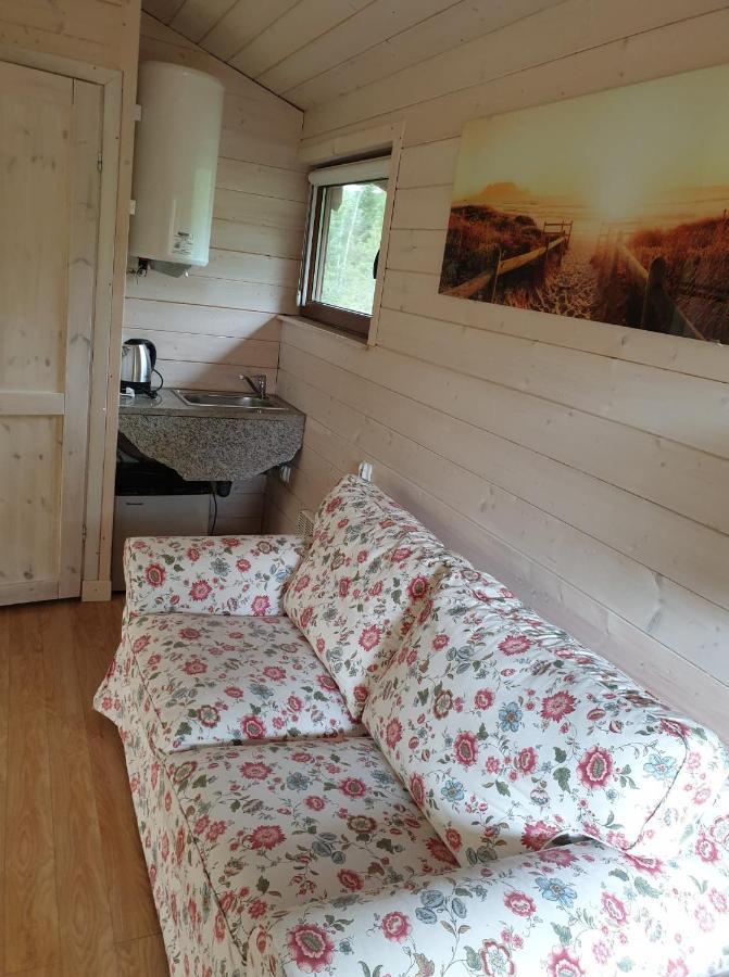 żabi Dwór Apartament *