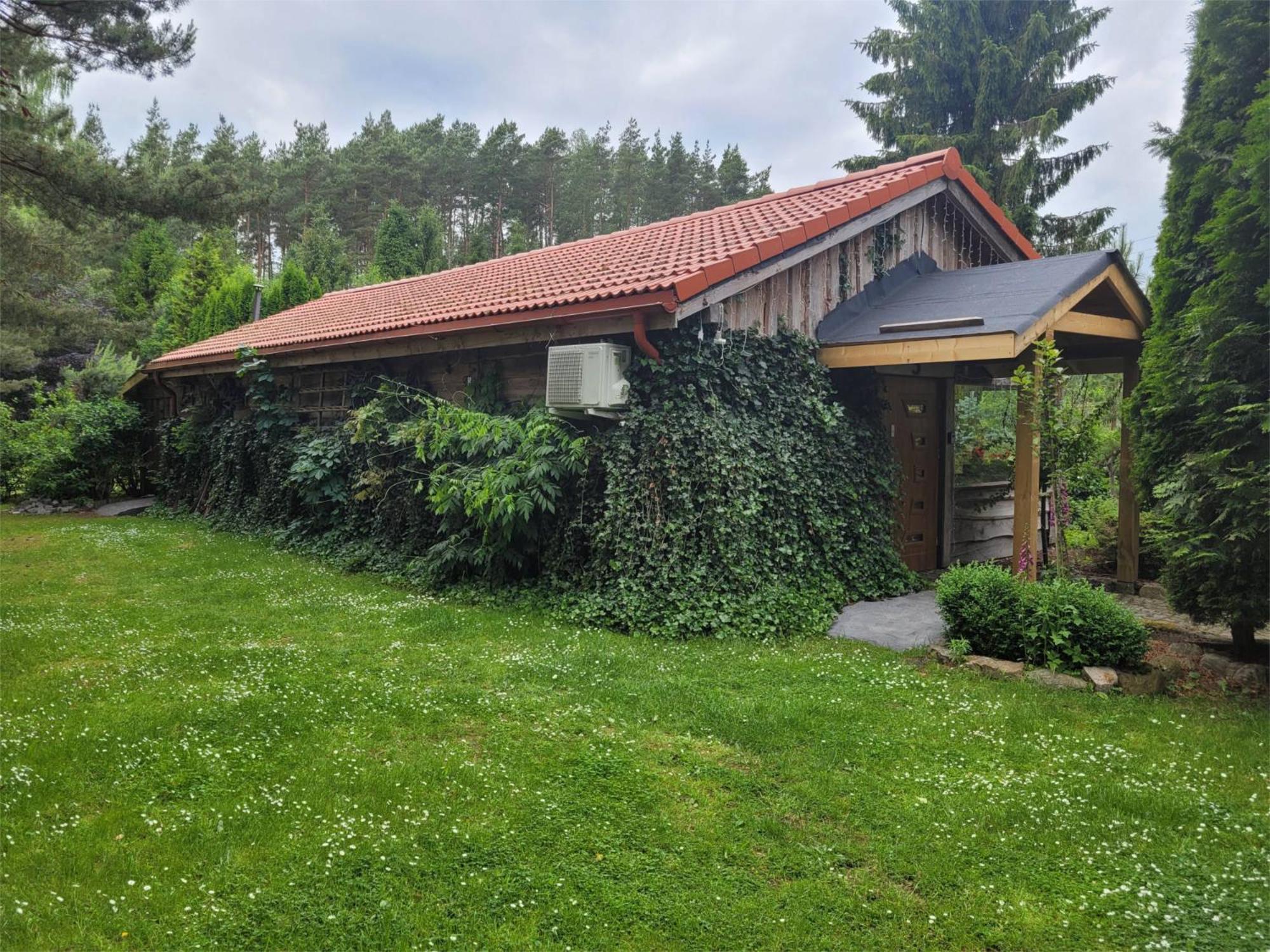 Apartament żabi Dwór